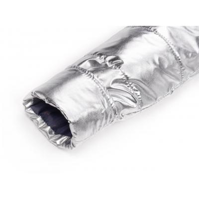 Куртка Brilliant демисезонная (1001-140G-silver)