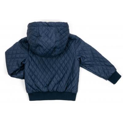 Куртка дитяча Verscon стеганая (3439-92B-blue)