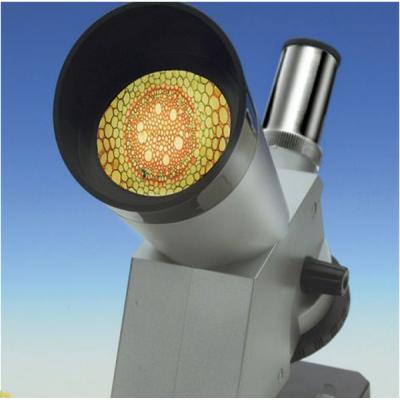 Микроскоп EDU-Toys MS008