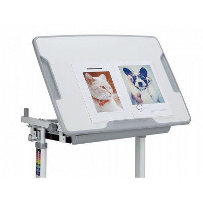 Парта зі стільцем Evo-kids Evo-06 Grey