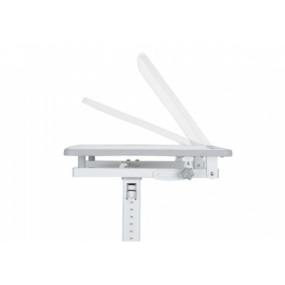 Парта зі стільцем Evo-kids Evo-07 Grey