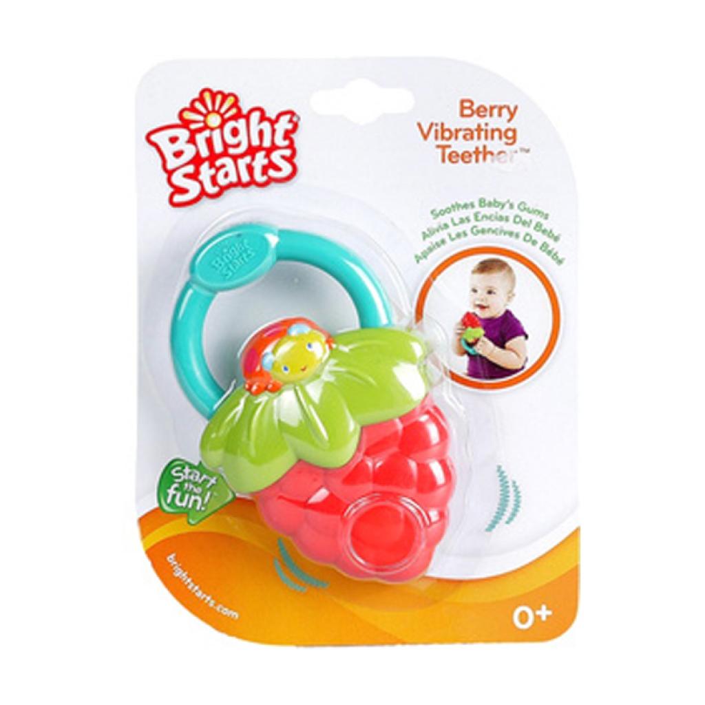 Прорезыватель Kids II Ягода (9312-1)