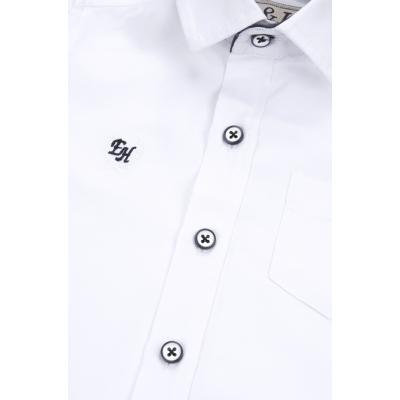 Рубашка Breeze с синей бабочкой (G-230-122B-white)