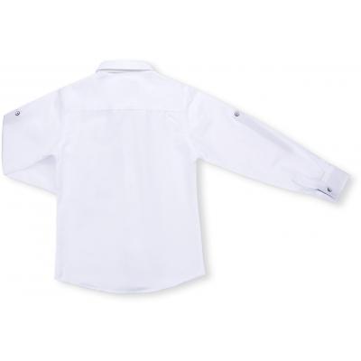 Рубашка Breeze с синей бабочкой (G-233-152B-white-blue)