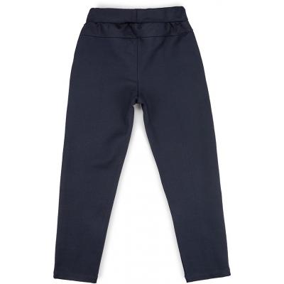 Штани дитячі Breeze трикотажные (11663-152G-blue)
