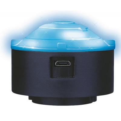 Скутер Globber EVO COMFORT PLAY 5 в 1 Синий (463-100)