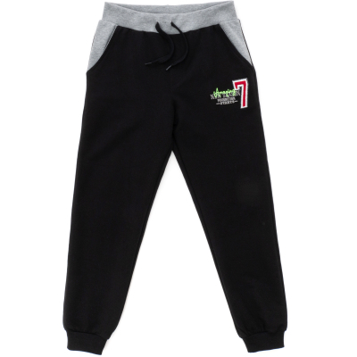 Спортивний костюм дитячий Breeze SPORTS TEAM (13680-140B-gray)