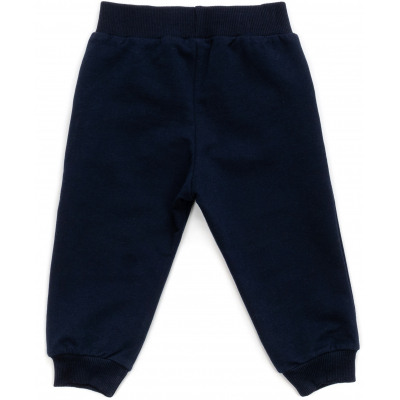 Спортивний костюм дитячий Breeze з тигриками (16109-80B-gray)
