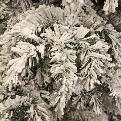 Украшение декоративное Black Box Trees Венок Dinsmore Frosted 45 см (8718861289022)